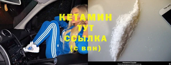 индика Новодвинск