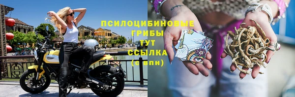 крисы Нея